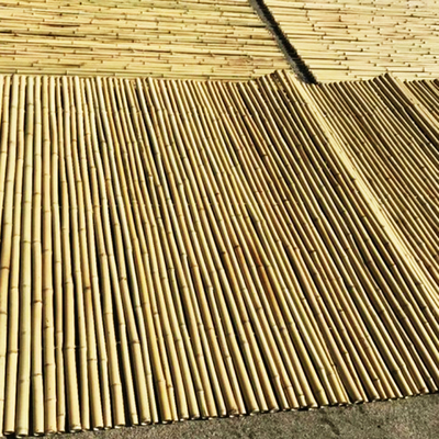 La frontera amistosa del jardín de Eco cerca la cerca los 240cm de bambú Panels Garden Border del 180cm