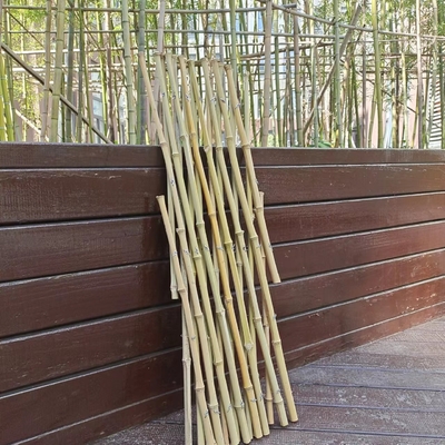 Jardín flexible de bambú extensible del enrejado de postes que cerca para la decoración el 120*180cm del balcón