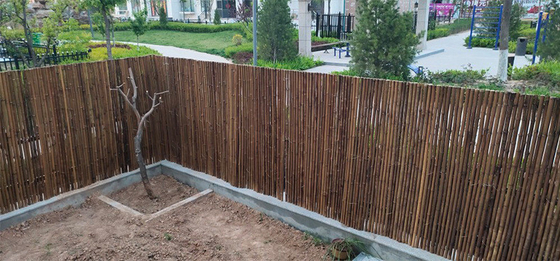 pantalla de bambú de los 2x1.5m que cerca el jardín de artesonado de bambú de Decotative del patio trasero