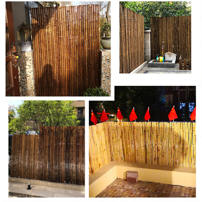 Cerca de bambú decorativa natural negra los 4Ft los 6Ft los 8Ft para el jardín de la aislamiento del jardín