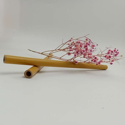 paja de bambú disponible del 19cm natural para la bebida Drinkings frío de los niños