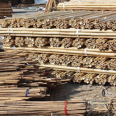 Materia prima de bambú de la construcción
