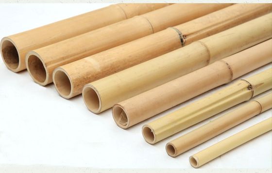 Moso natural tratado palo de bambú 3 metros de largo 6-8cm de diámetro para bricolaje construcción cercas jardinería y proyectos decorativos