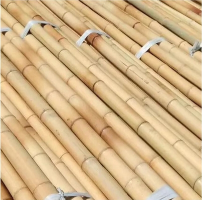Polvos de bambú en bruto de la naturaleza palos rectos de árboles de bambú palos grandes de bambú para la decoración