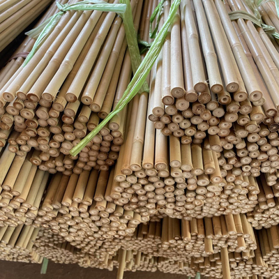 Polvos de bambú en bruto de la naturaleza palos rectos de árboles de bambú palos grandes de bambú para la decoración