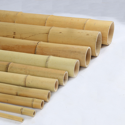 Precio al por mayor Moss natural Plant Pole Moss Stick para plantas de escalada Moss Poles de apoyo