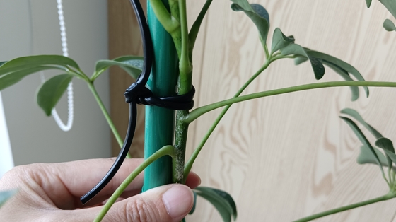 Línea hueca verde flexible para apoyar las bolsas de la planta para el hogar