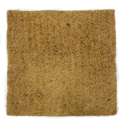 Al por mayor Tamaño personalizado Al aire libre Fibra natural de alfombra de alfombra de alfombra de alfombra de coco