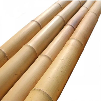 595cm Long Moso Bamboo Pole - Eco-friendly Straight and Sturdy Bamboo Raw Material for Garden Construction
