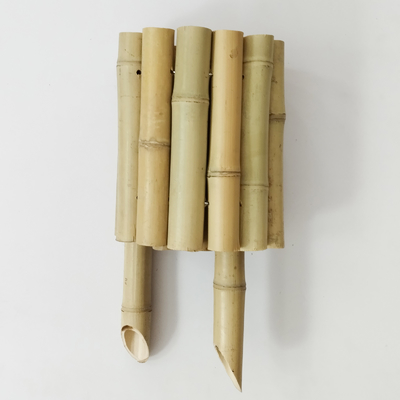 Elegante cerca natural de bambú para un hermoso jardín