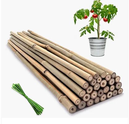 Estacas de jardín, estacas de plantas de bambú natural de 18 pulgadas, estacas de soporte de plantas con corbatas torcidas, palos de bambú para tomates, frijoles, flores, plantas en maceta, plantas de escalada interiores y exteriores