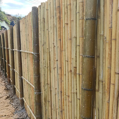 Rollo de cerca de bambú natural impermeable y duradero para jardín y paisajismo