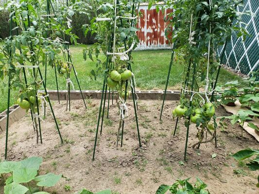 Estacas de metal recubiertas de plástico, estacas verdes para jardín, para soporte de plantas, escalada de plantas, cercado de paisajes