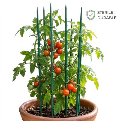 La aduana de bambú natural de la ayuda de la planta de jardín de las estacas de bambú naturales clasifica colores para los cuartos de niños