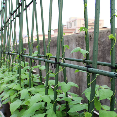 Green Plastic Coated Metal Plant Stakes for Garden Plant Support and Climbing Plants