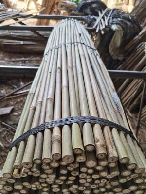 Estacas de jardín de bambú sostenibles de 6‑30 mm | Postes de bambú natural para plantas trepadoras y enrejados de verduras